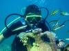Хотел Ephesia Holiday Beach Club HV - гмуркане